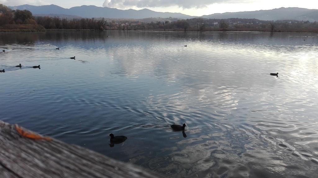 La Casa Sul Lago Posta Fibreno Eksteriør billede