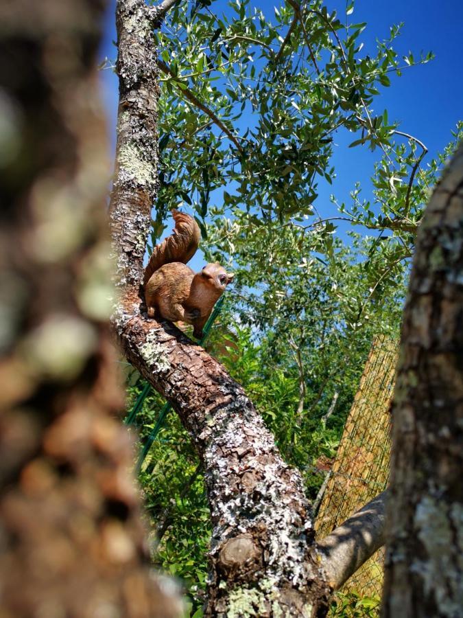 La Casa Sul Lago Posta Fibreno Eksteriør billede